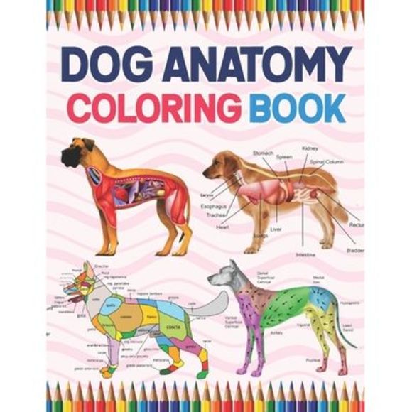 Jarniaczell Publication Other Dog Anatomy Coloring Book Dog Anatomy